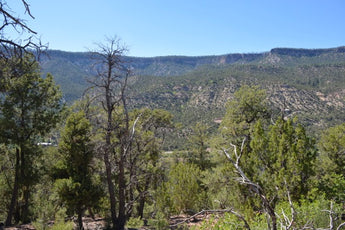 Just Listed - Lot B Indian Mesa Subdivision, Jemez Springs - Our Client May Save Around $4,750 in Commissions