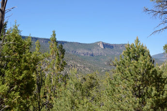 Just Listed - Lot B Indian Mesa Subdivision, Jemez Springs