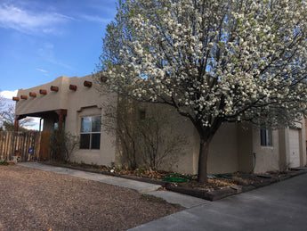 SOLD - 6020 Monte Azul Pl - Santa Fe - Our Client Saved About $4,000 in Commissions!