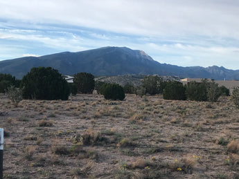 Just Listed - Vacant Lot on Palomino Road, Placitas - Potential Commissions Savings: $3,000