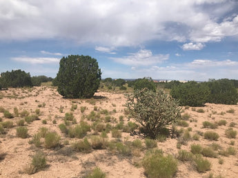 Just Listed - Lot on Palomino Road in Placitas - Potential Commission Savings $2,500