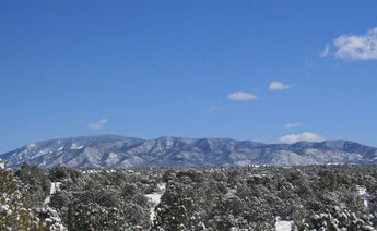 SOLD - 37 Tierra Grande - Our Client Saved around $3,800 in Commissions!