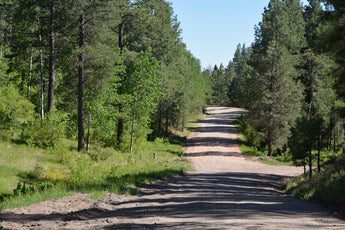 SOLD - 161 Squirrel Trail, Jemez Springs - Our Client Saved around $2,000 in Commissions
